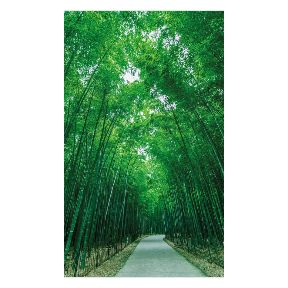 Toilettenrückwand nach maß