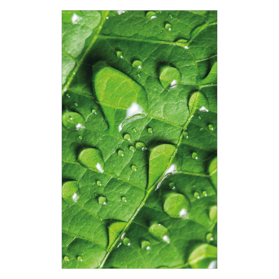 Toilettenrückwand nach maß