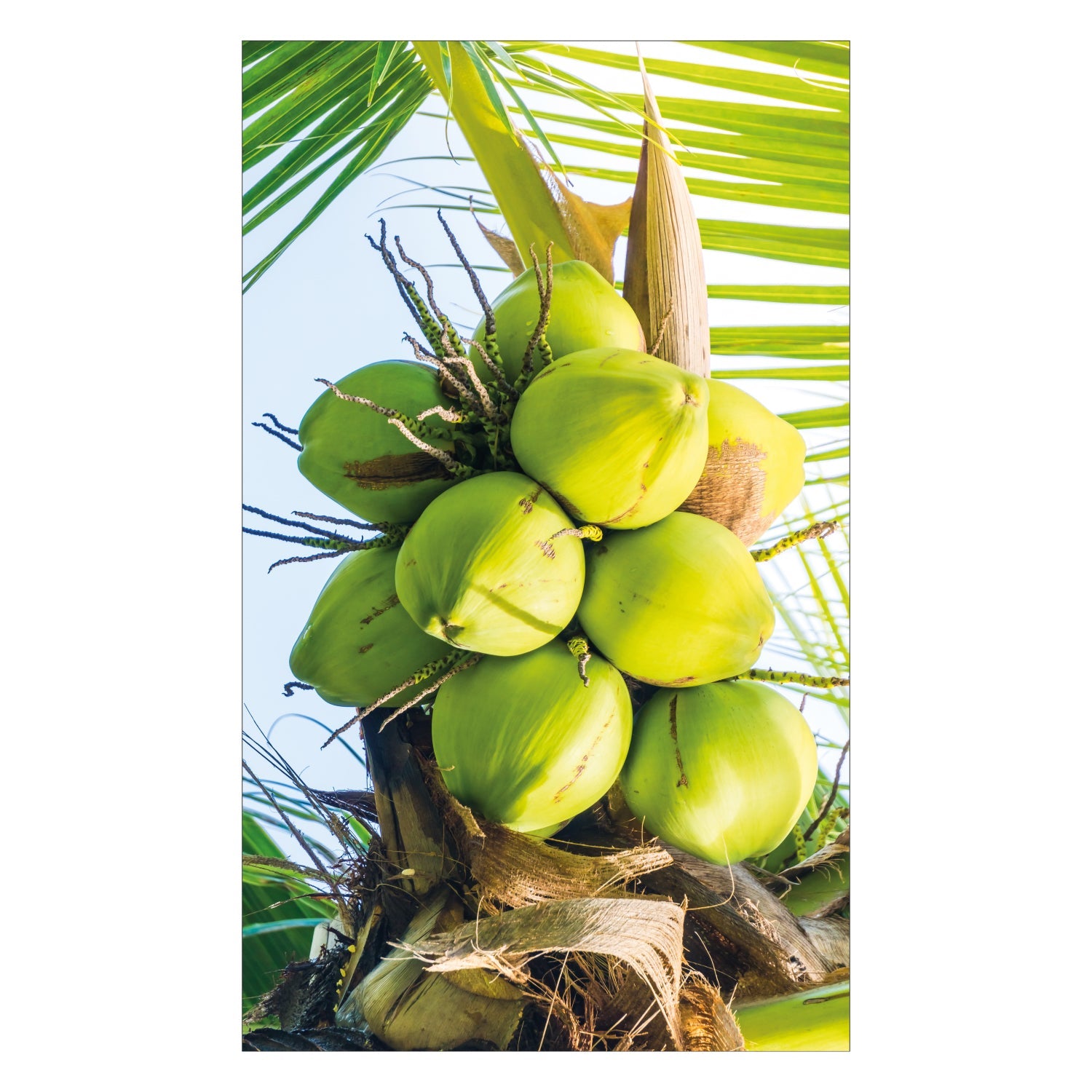 Toilettenrückwand nach maß