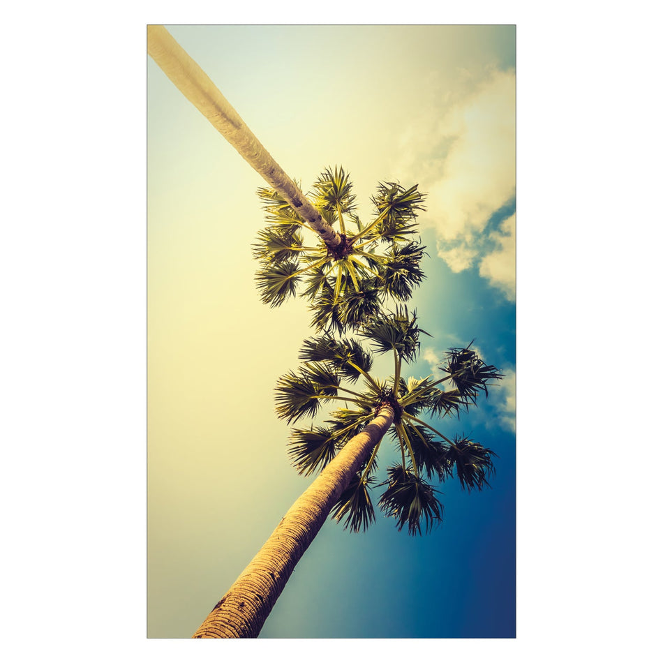 Duschrückwand nach maß