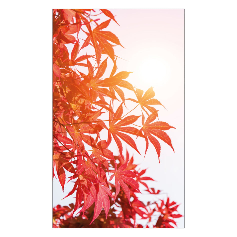 Duschrückwand nach maß