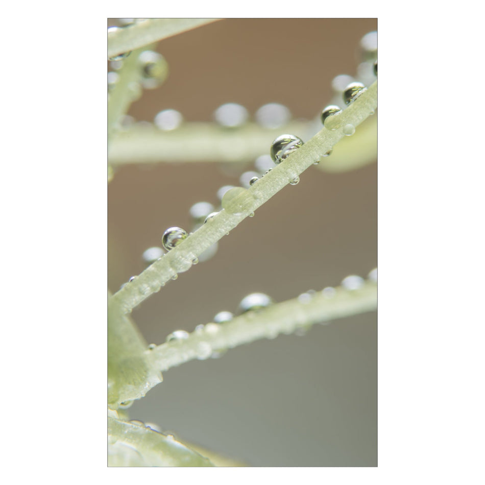 Toilettenrückwand nach maß