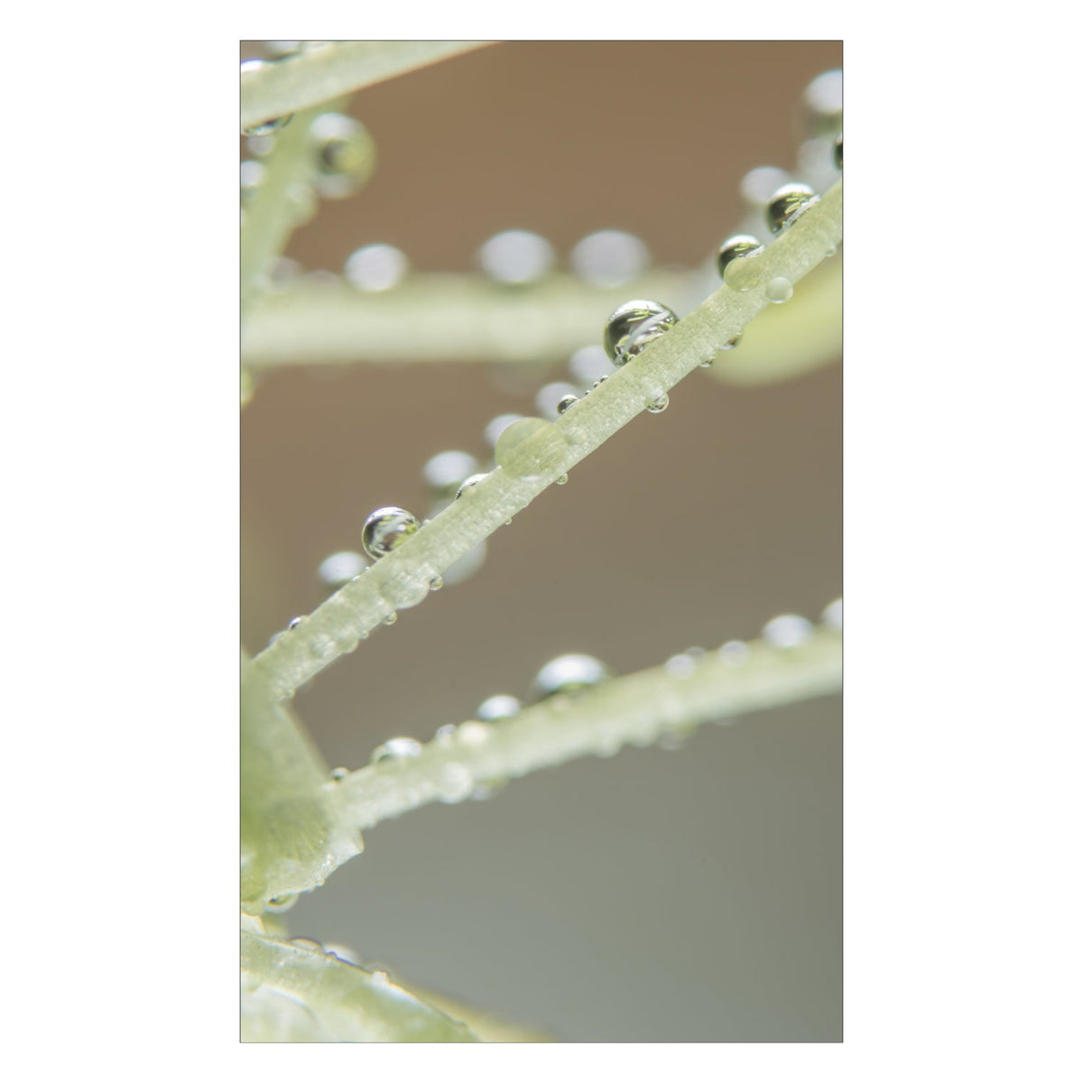 Duschrückwand nach maß