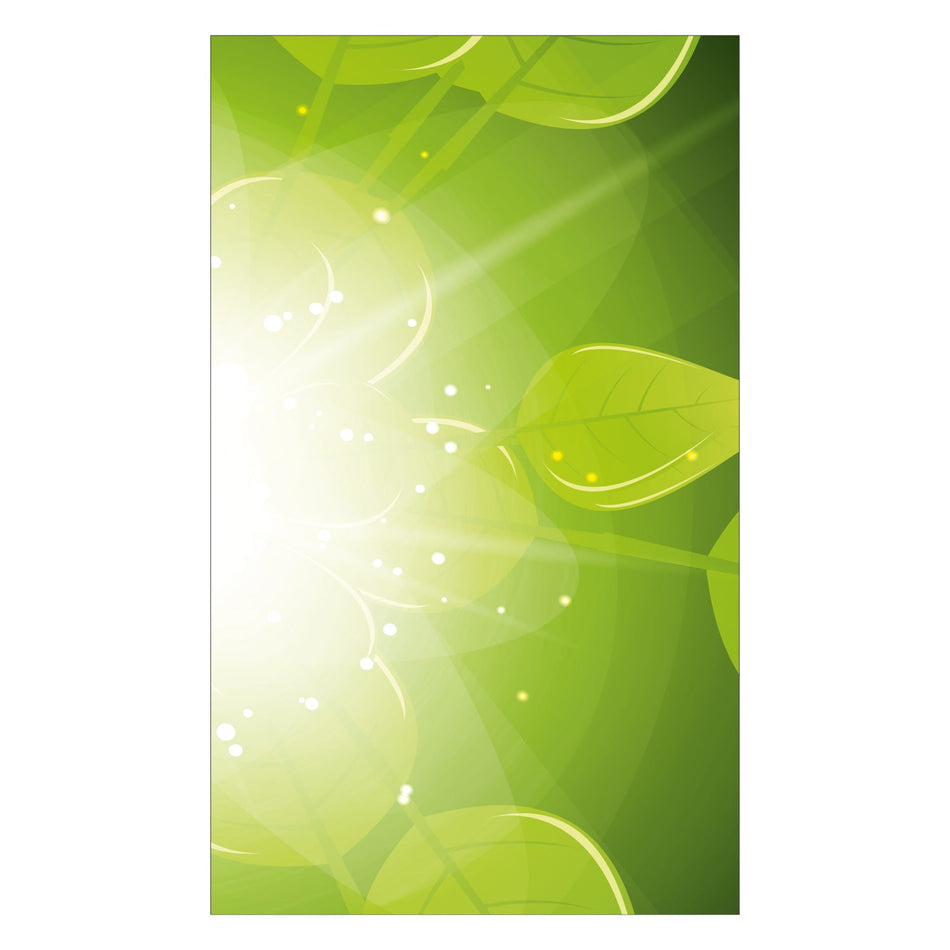 Duschrückwand nach maß