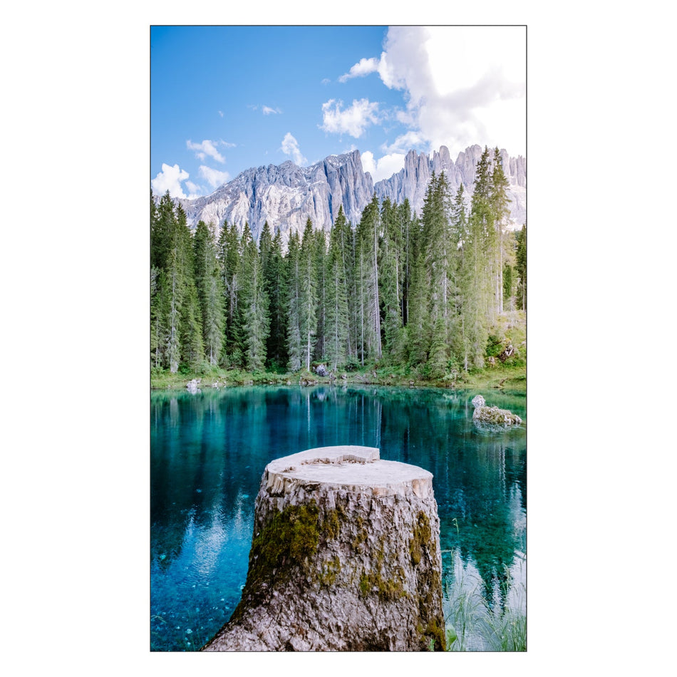 Toilettenrückwand nach maß