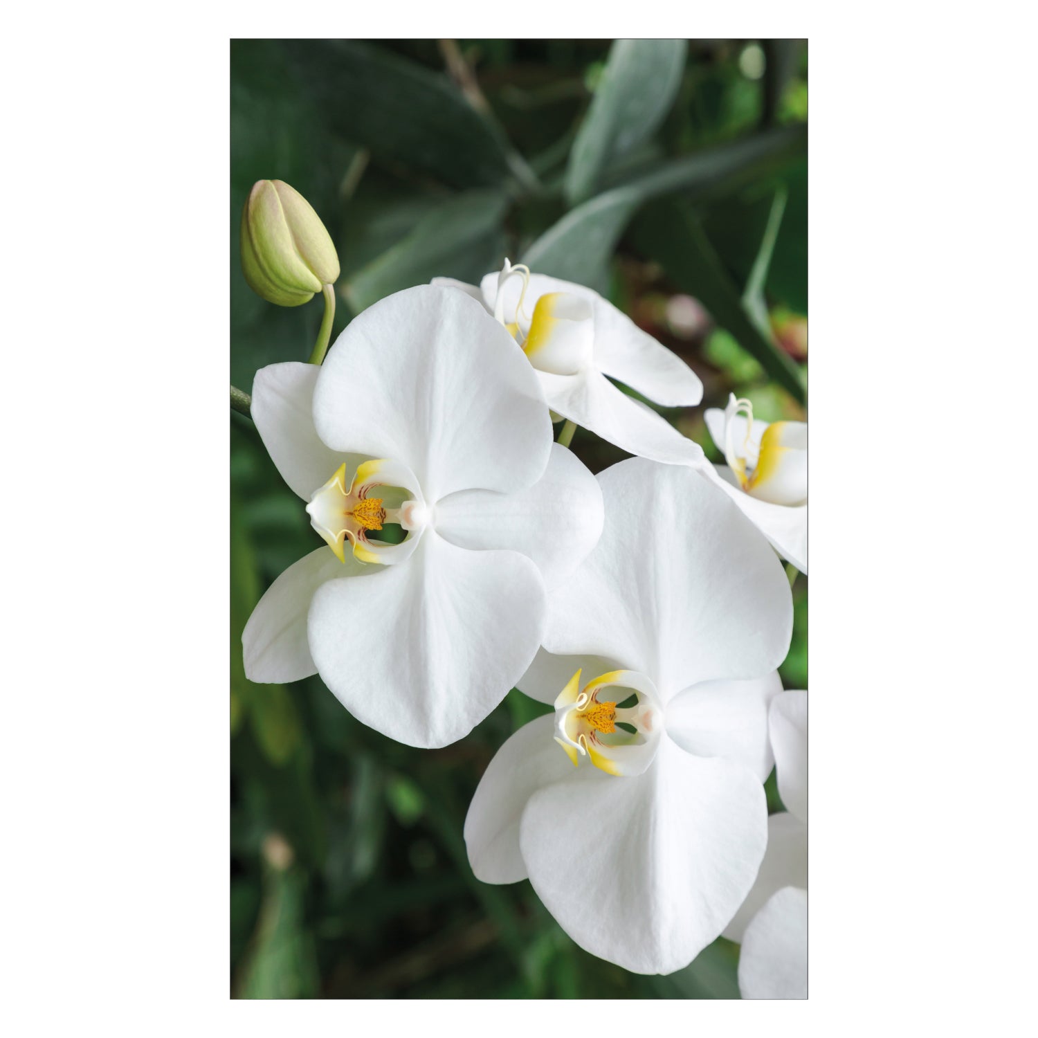 Duschrückwand nach maß