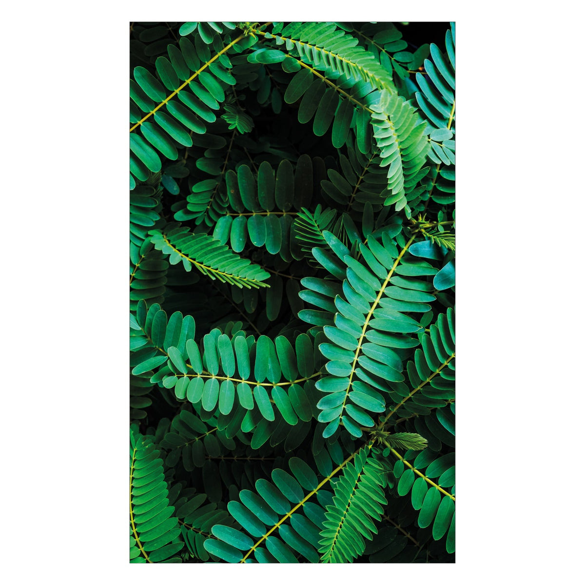 Duschrückwand nach maß