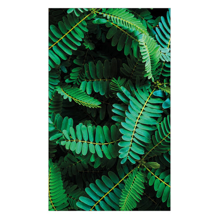 Duschrückwand nach maß