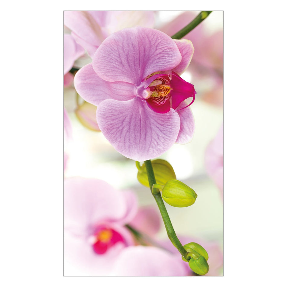 Duschrückwand nach maß