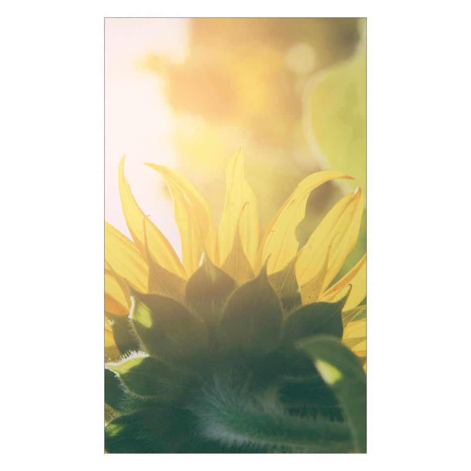 Duschrückwand nach maß