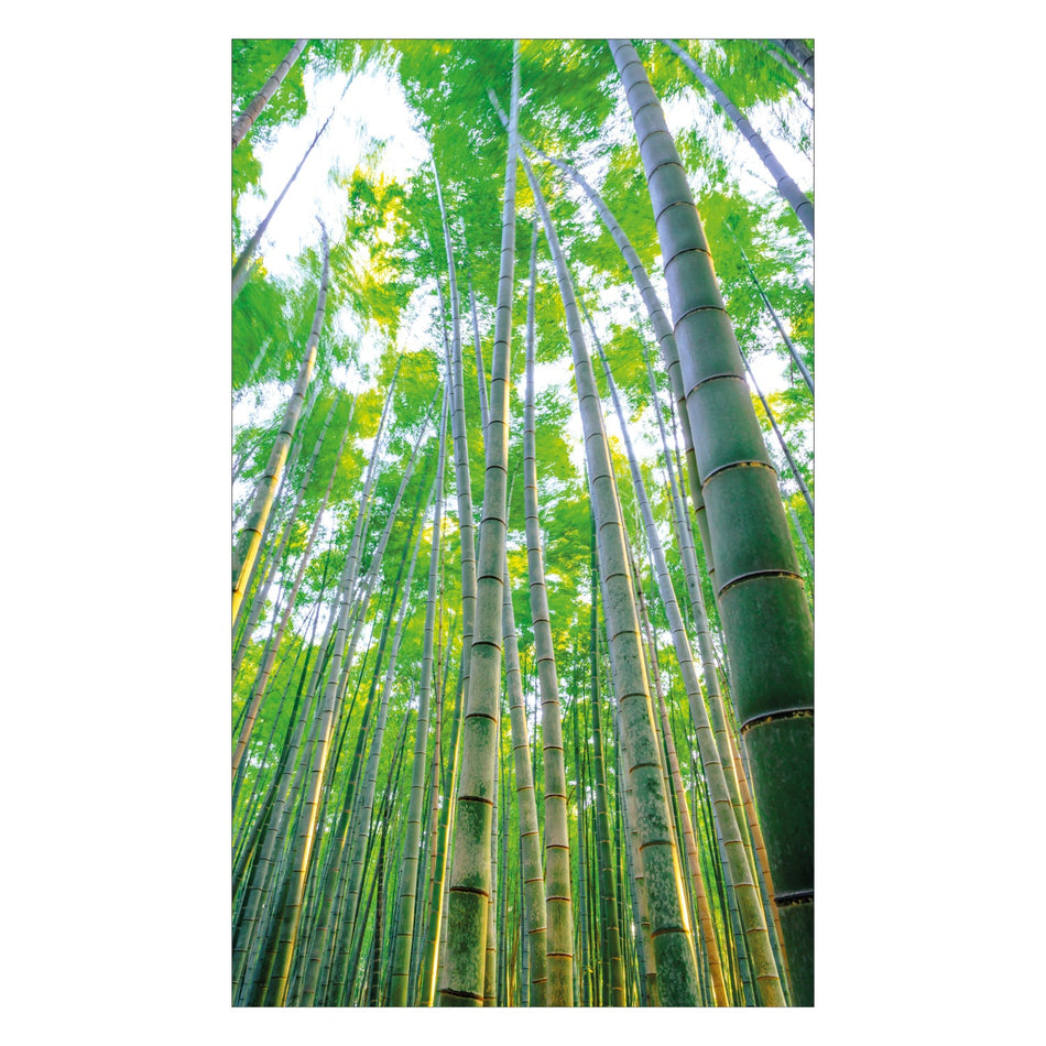 Duschrückwand nach maß