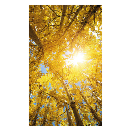 Duschrückwand nach maß