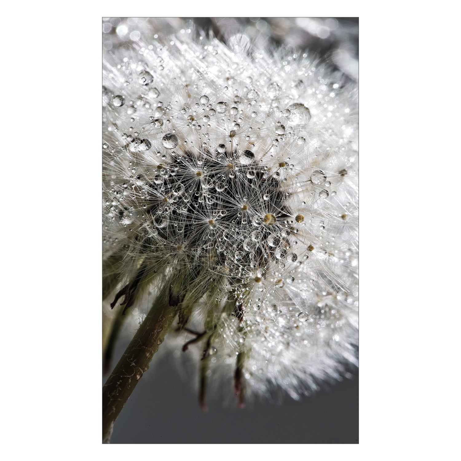 Duschrückwand nach maß