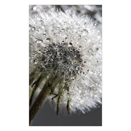 Duschrückwand nach maß