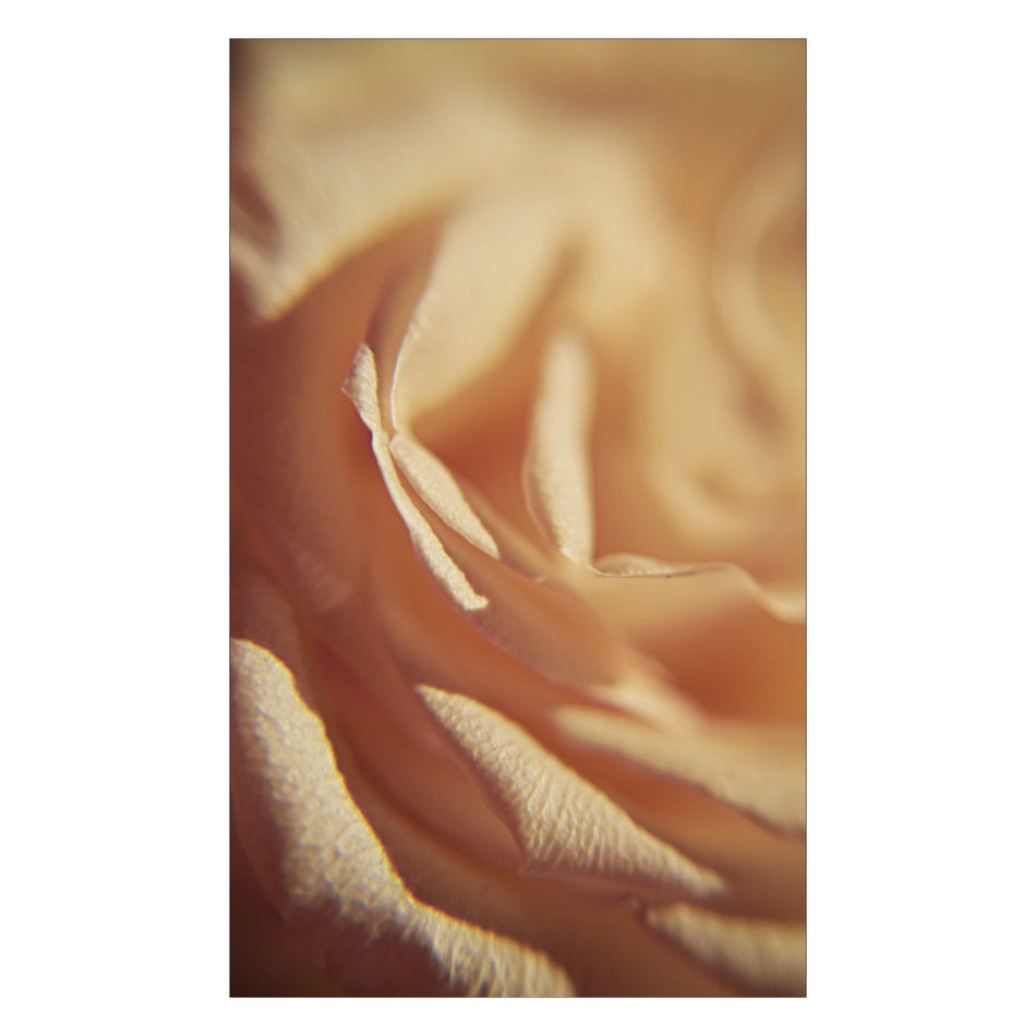 Duschrückwand nach maß