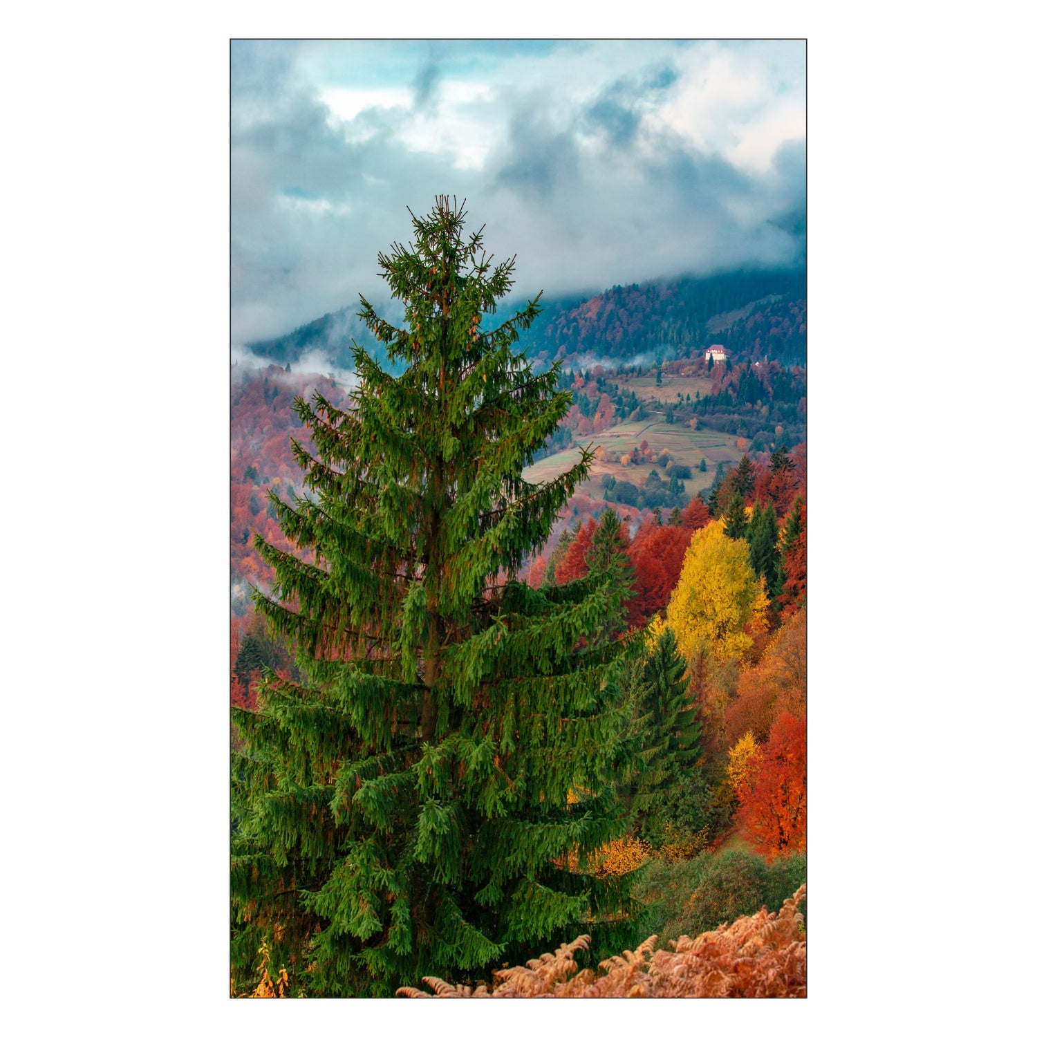 Toilettenrückwand nach maß