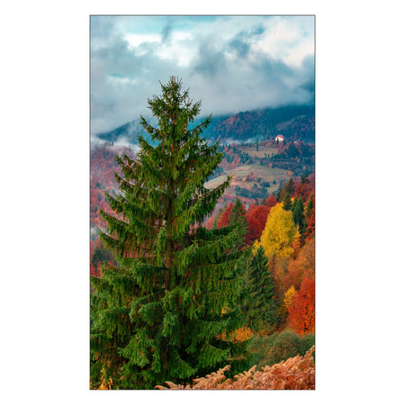 Toilettenrückwand nach maß