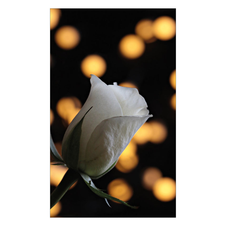 Duschrückwand nach maß