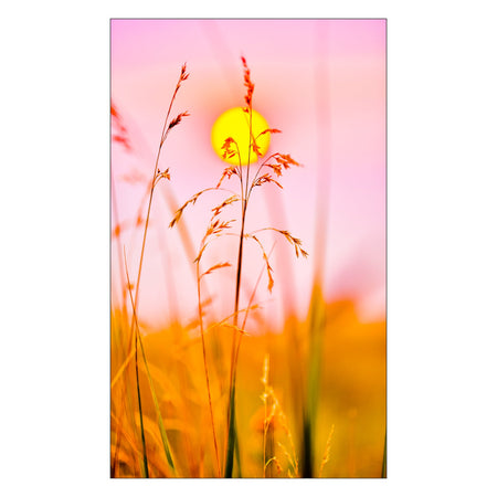 Duschrückwand nach maß