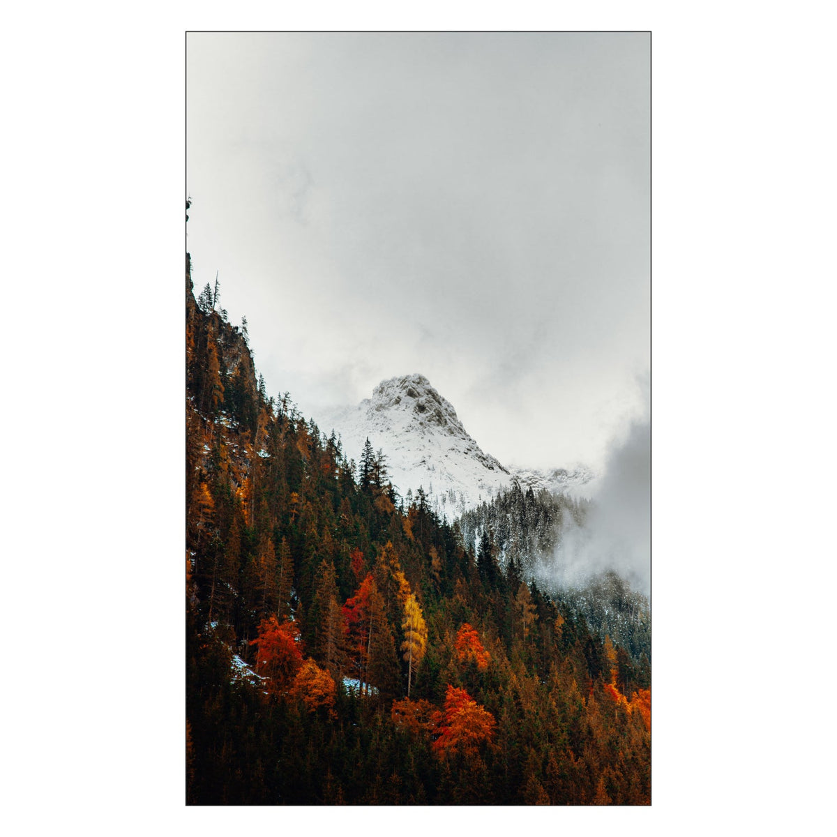 Duschrückwand nach maß