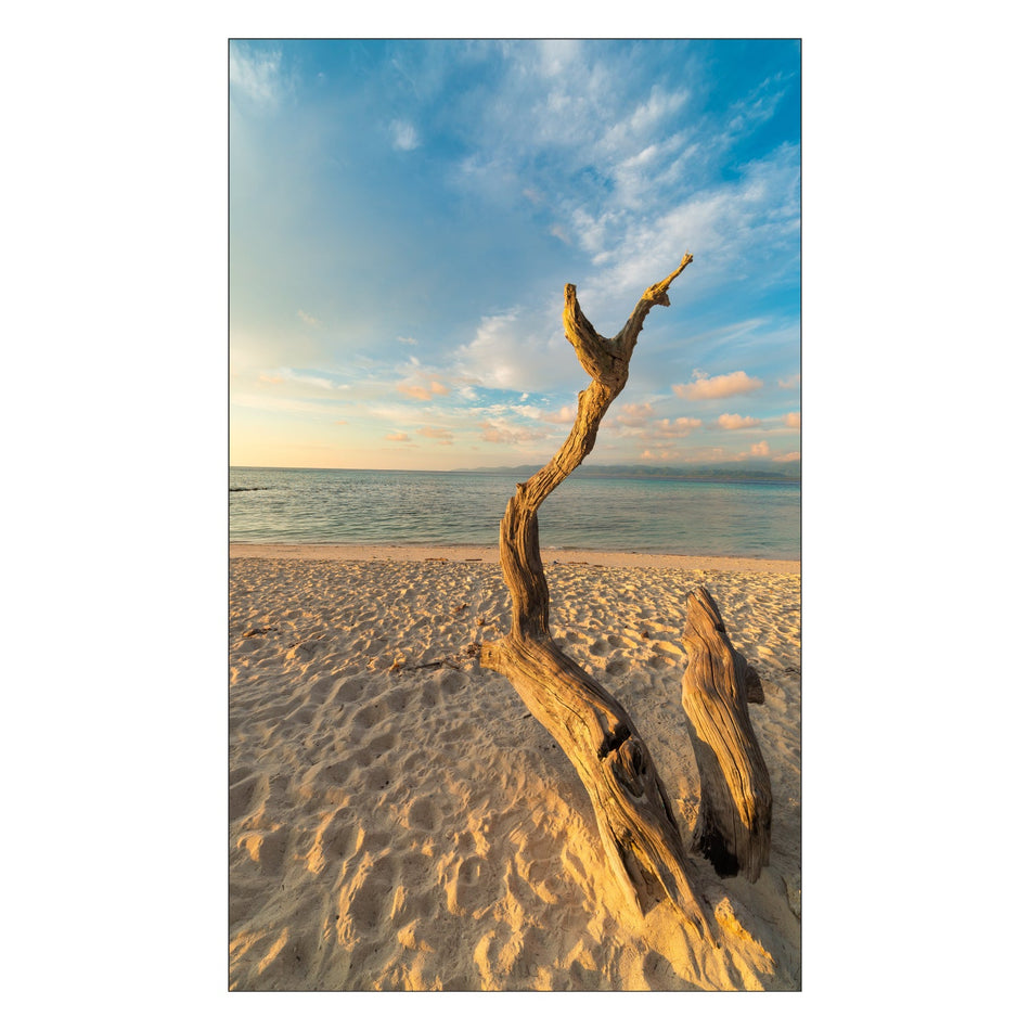 Duschrückwand nach maß