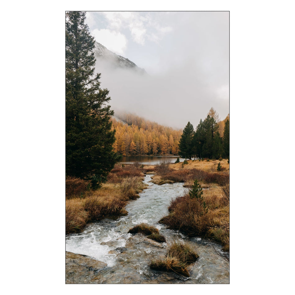 Duschrückwand nach maß