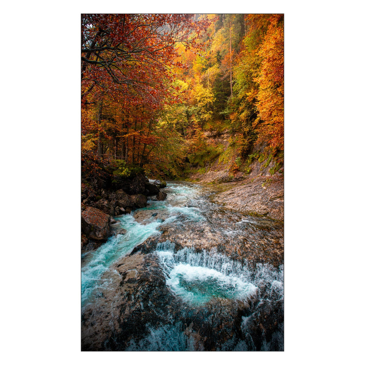 Duschrückwand nach maß