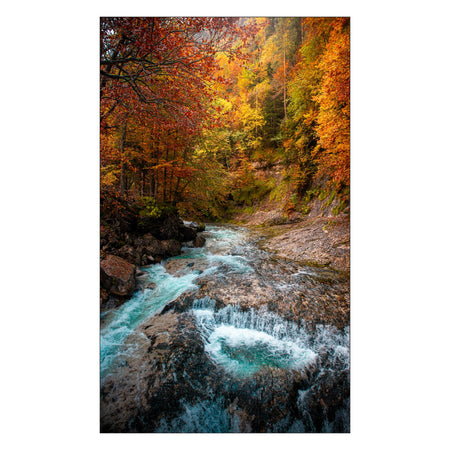 Toilettenrückwand nach maß