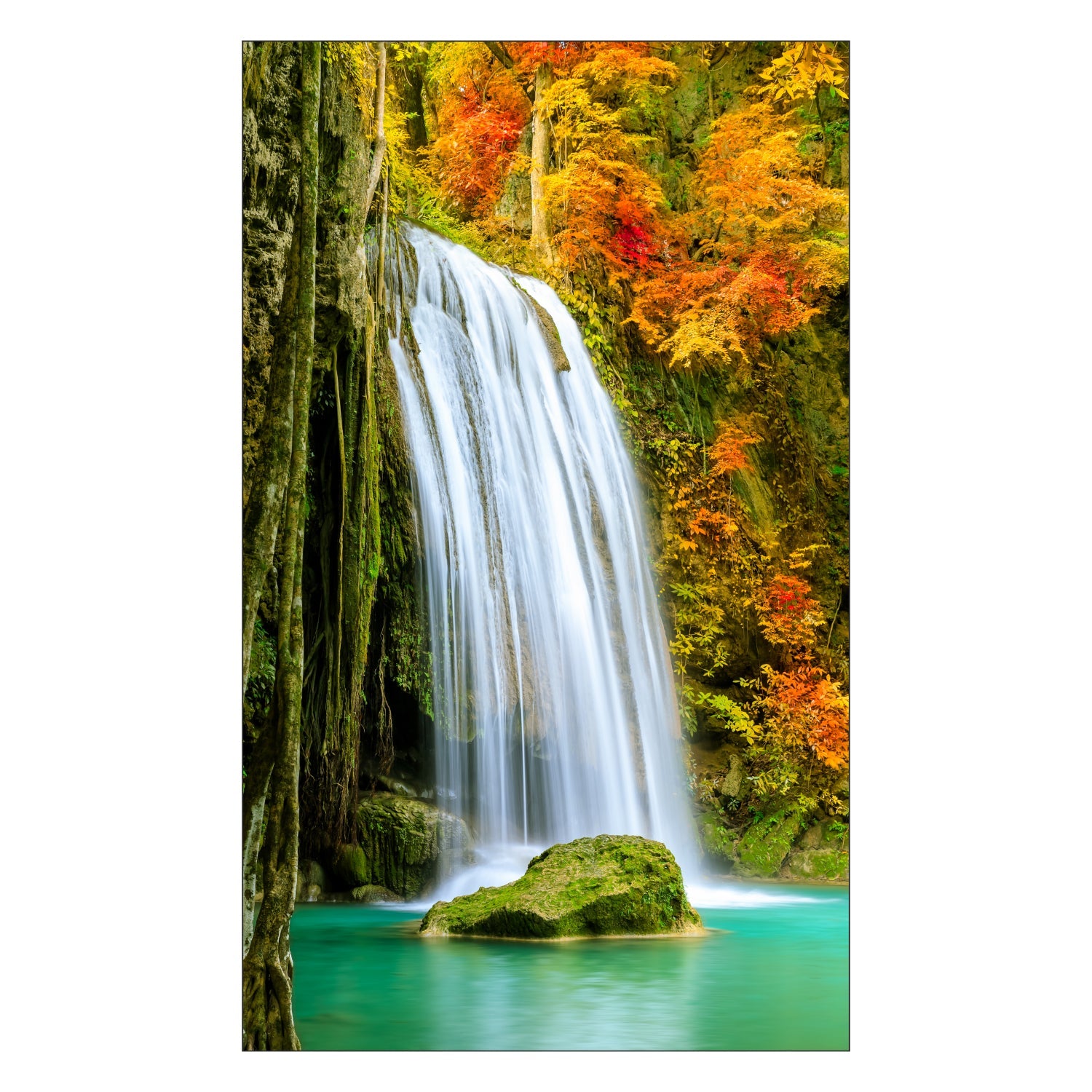 Toilettenrückwand nach maß