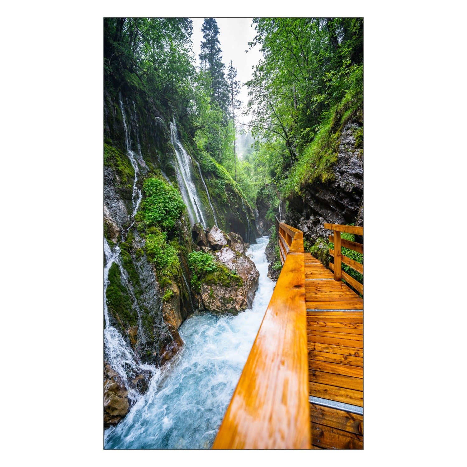 Toilettenrückwand nach maß