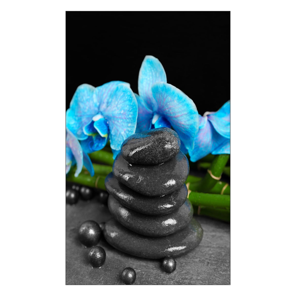 Toilettenrückwand nach maß