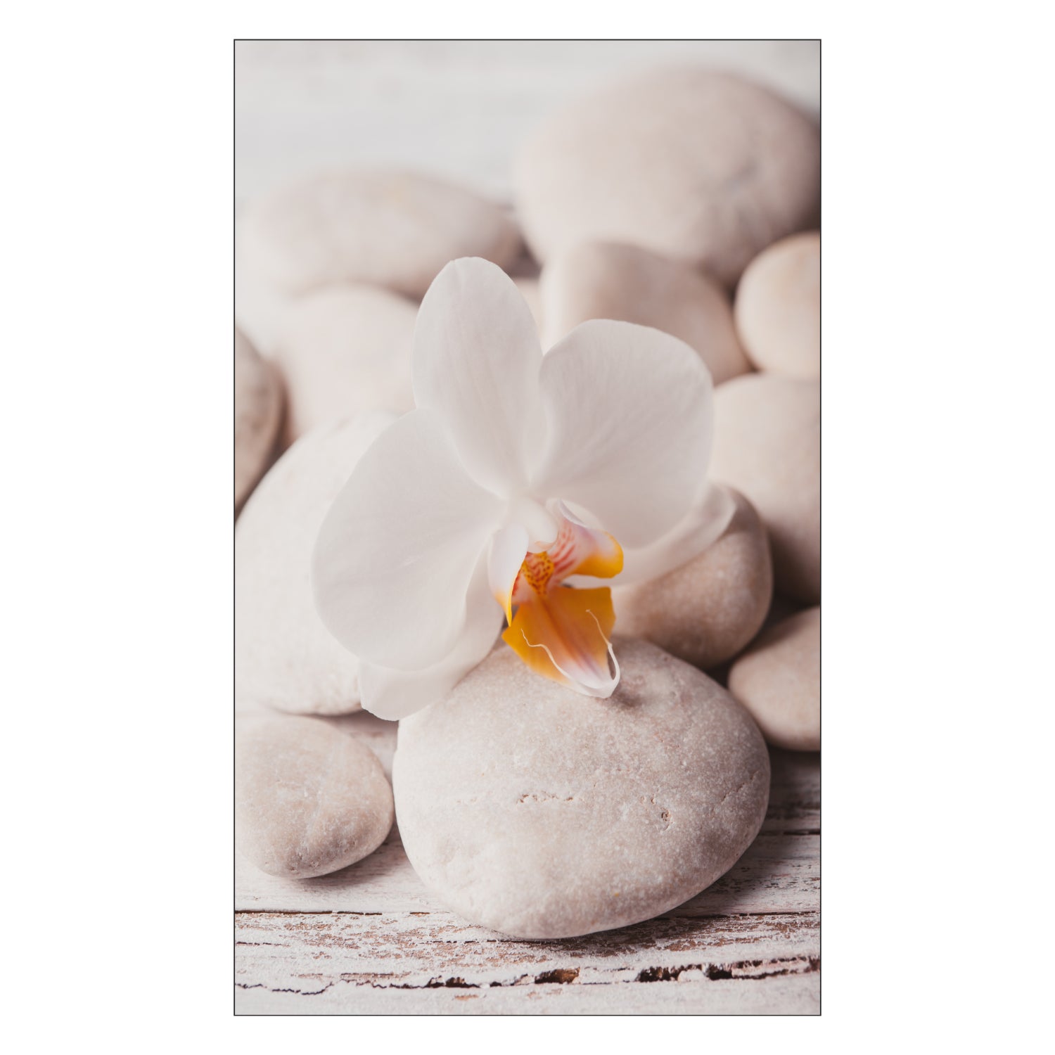 Duschrückwand nach maß