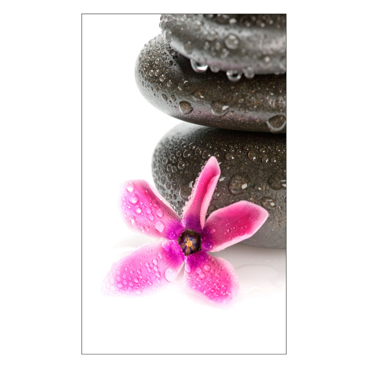 Duschrückwand nach maß