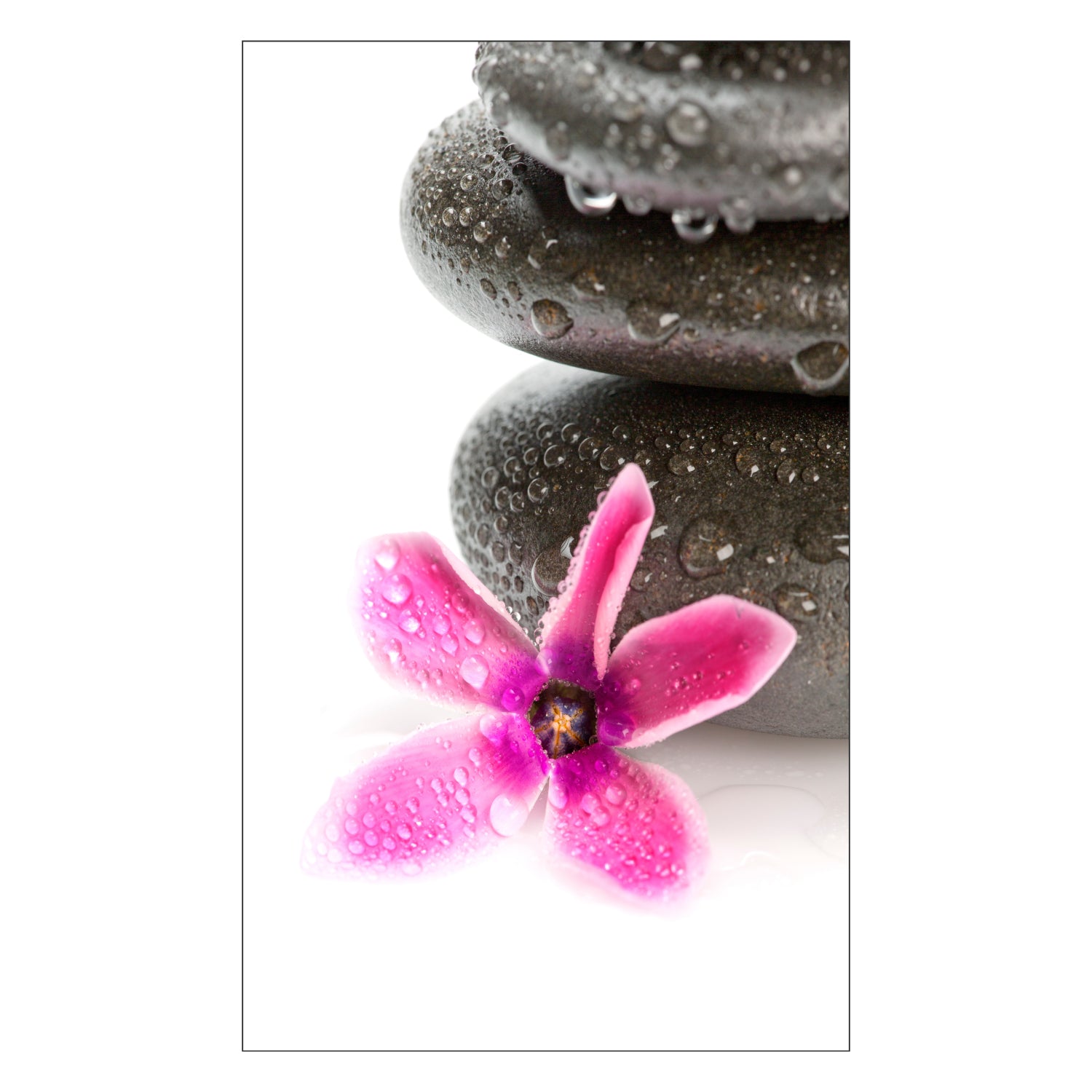 Toilettenrückwand nach maß