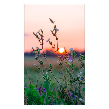 Toilettenrückwand nach maß