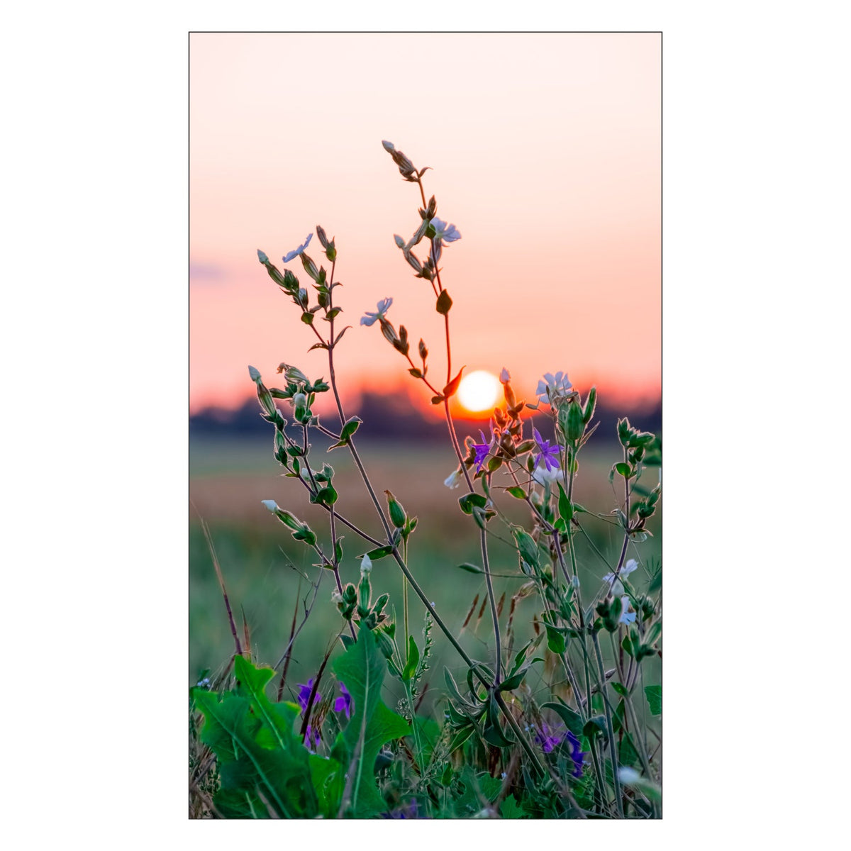 Duschrückwand nach maß