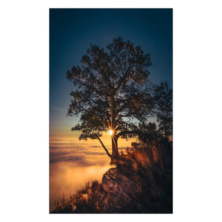 Toilettenrückwand nach maß