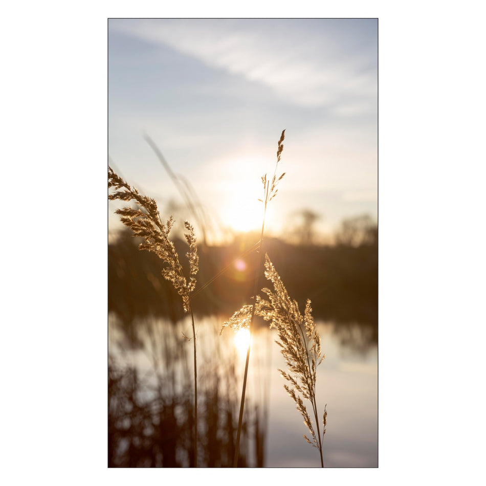 Duschrückwand nach maß