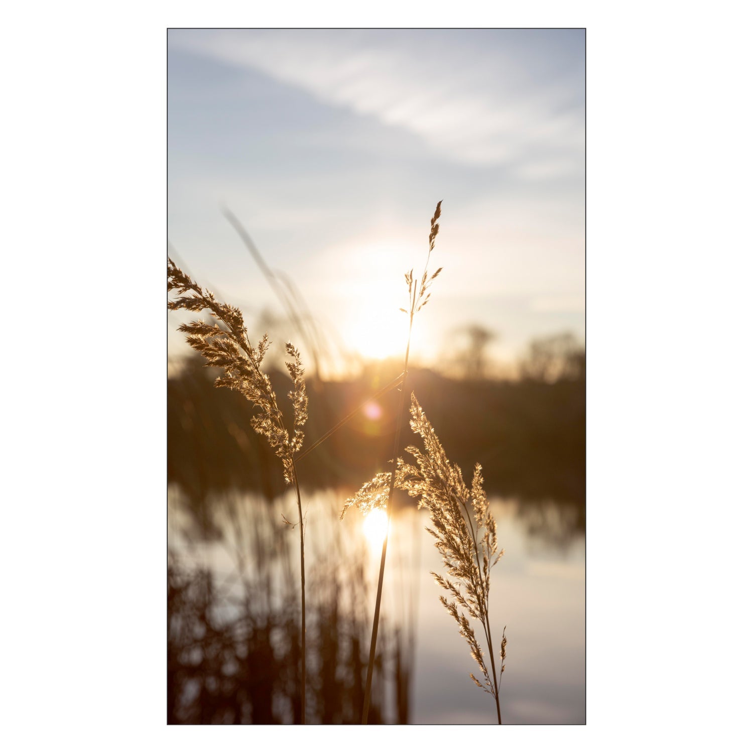 Toilettenrückwand nach maß