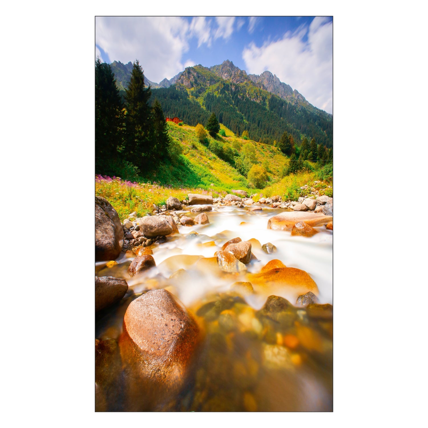 Toilettenrückwand nach maß