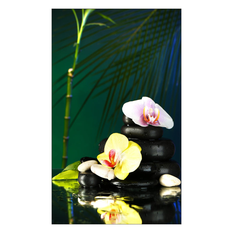 Duschrückwand nach maß