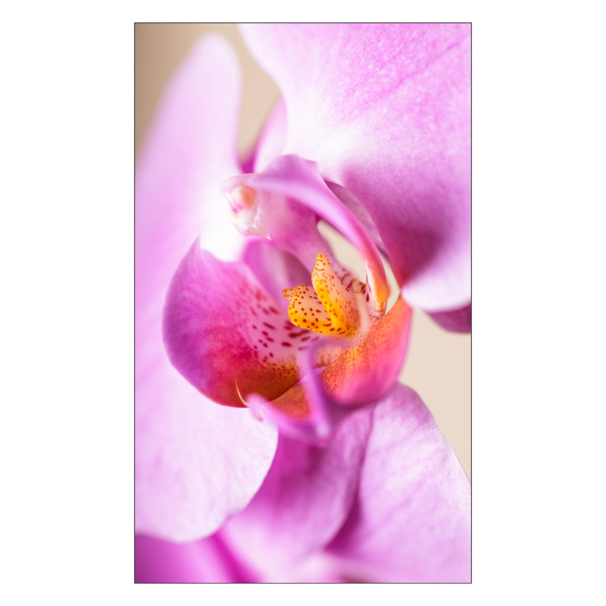 Toilettenrückwand nach maß