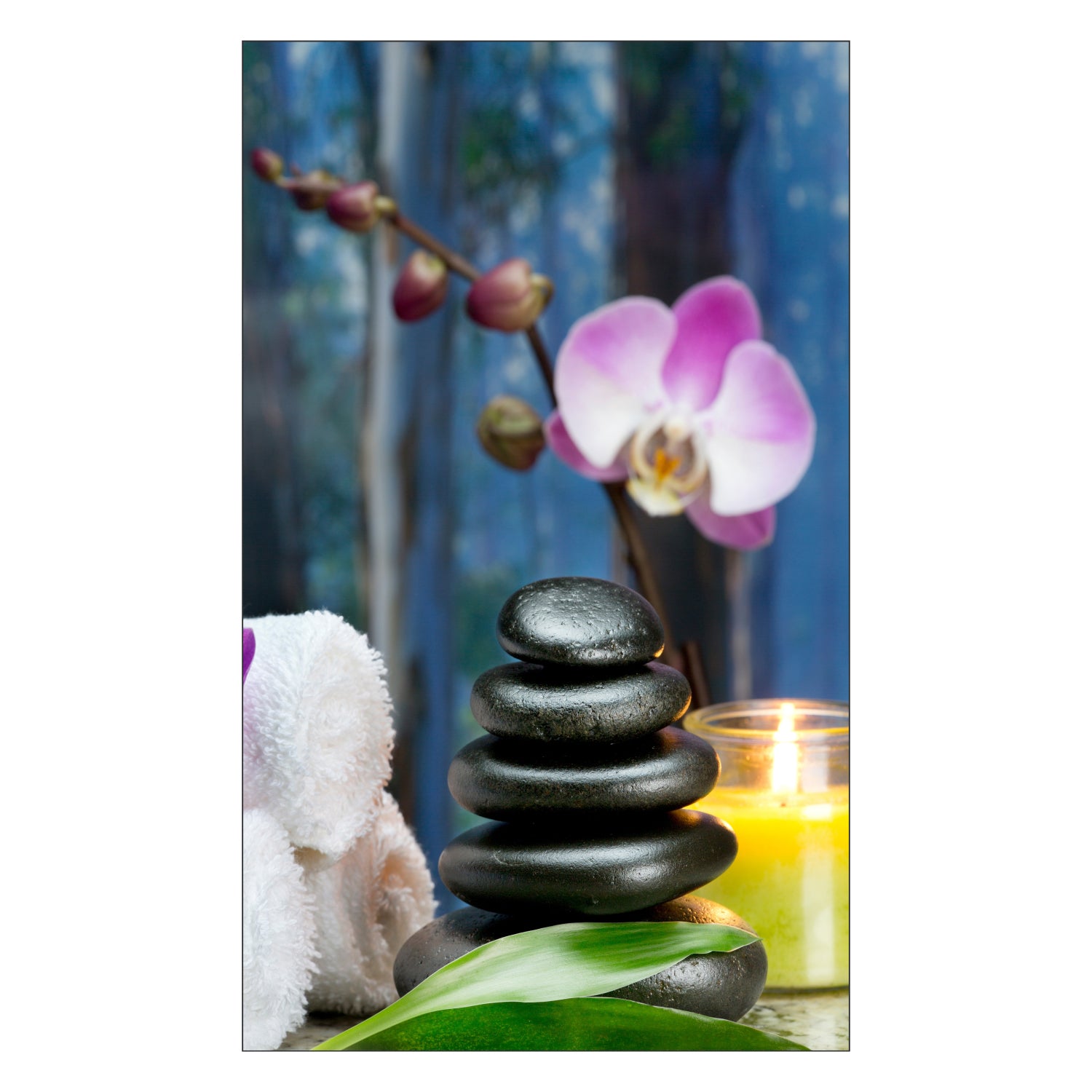 Toilettenrückwand nach maß