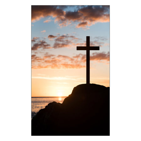 Toilettenrückwand nach maß