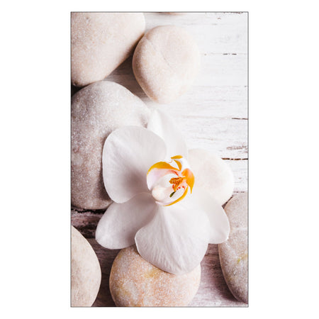 Duschrückwand nach maß