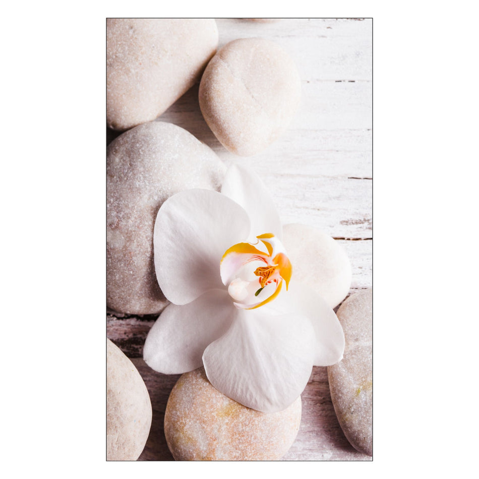 Duschrückwand nach maß