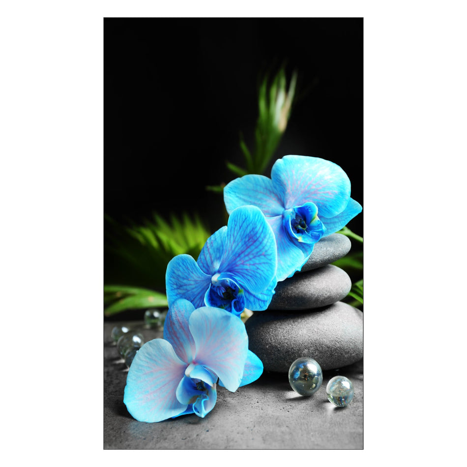 Duschrückwand nach maß