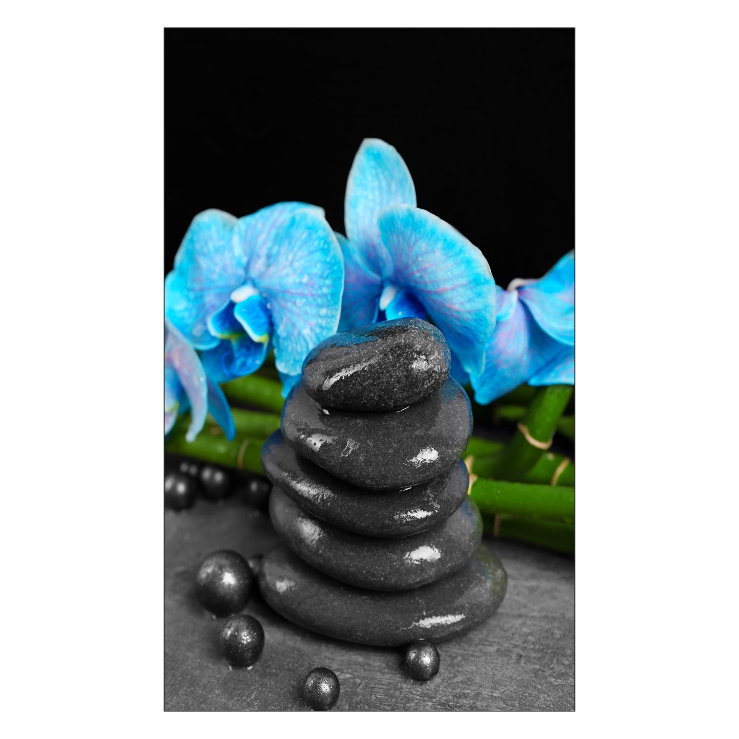 Toilettenrückwand nach maß