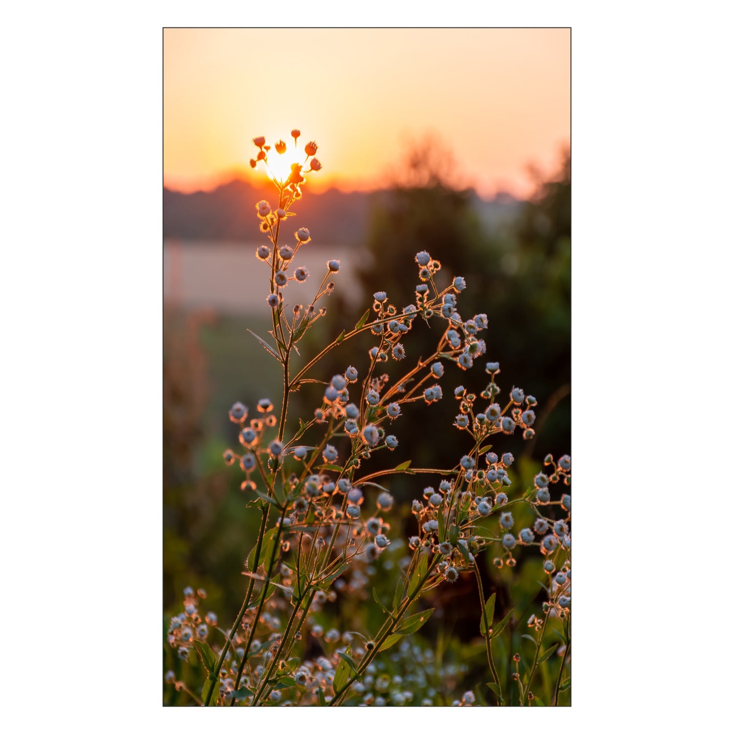 Toilettenrückwand nach maß