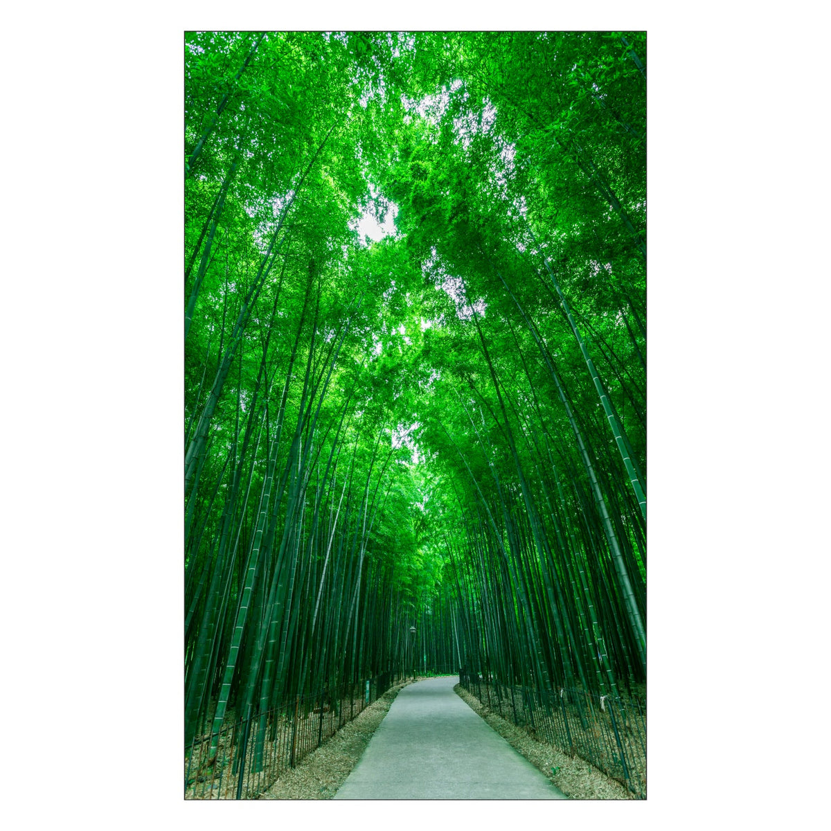 Toilettenrückwand nach maß